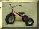 dirtkingtrike.jpg (44976 bytes)